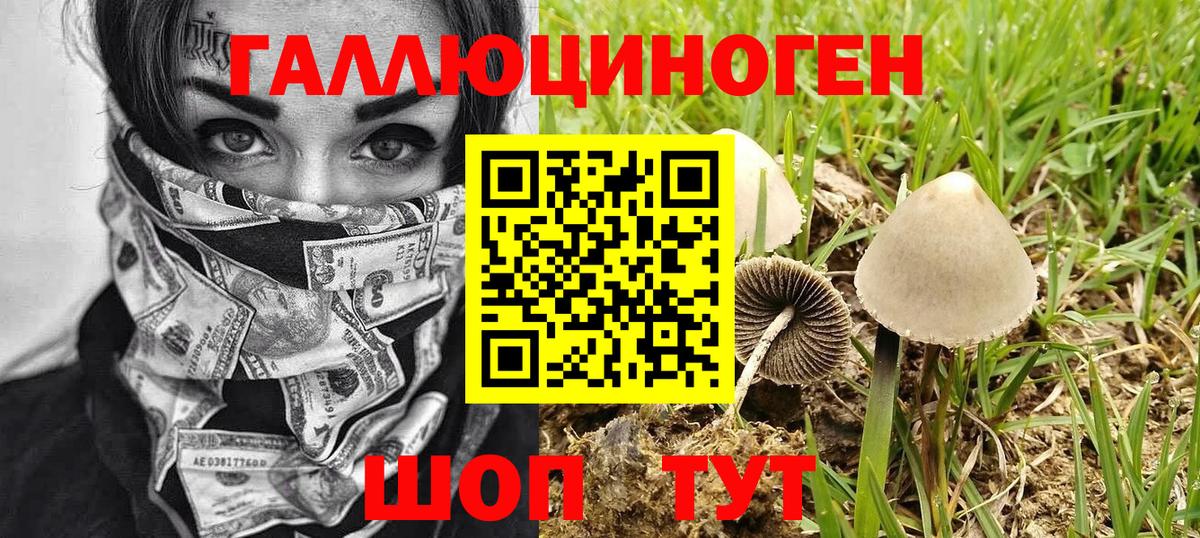 Псилоцибиновые грибы мицелий  Вход с VPN  Октябрьский 